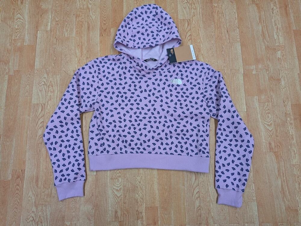 The North Face Girl's Size XL Lupine Logo Print Camp Fleece Pullover Hoodie NWT